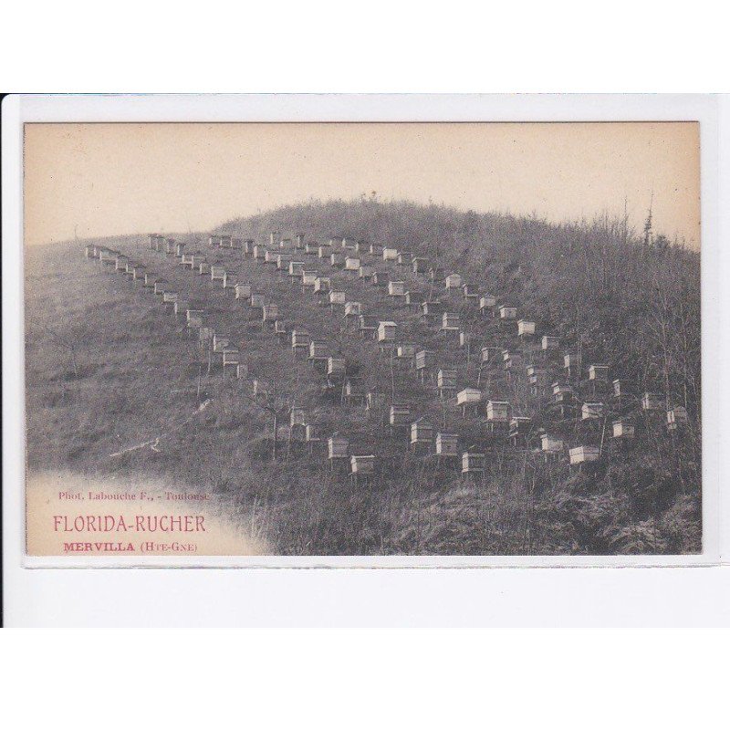 MERVILLA: florida-rucher, apiculture - très bon état