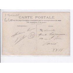 environs TOULOUSE: à la recherche d'un grillon - état