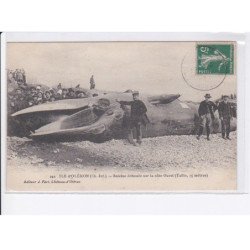 ILE D'OLERON: baleine échouée sur la côte ouest taille 15 mètres - très bon état