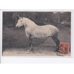 MASLES: domaine de la ronce, gazelle, jument percheronne, cheval - très bon état