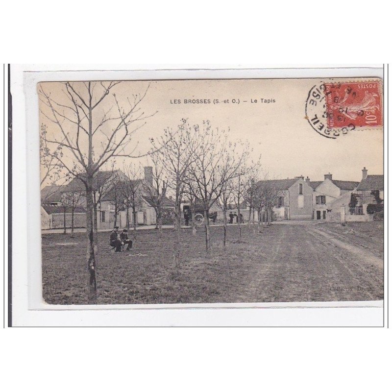 LES BROSSES : le tapis - tres bon etat