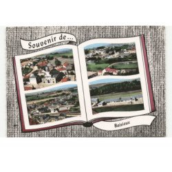 BAISIEUX:  souvenir de... vue aérienne 10X15 - tres bon etat