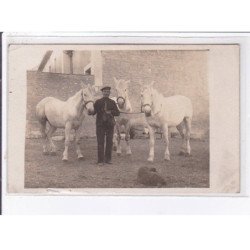 MARIGNY-MARMANDE: éleveur de chevaux, Georges Babin - état