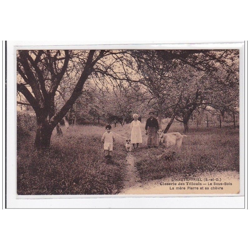 L'HAUTIL-TRIEL : closerie des tilleuls, le sous-bois, la mere pierre et sa chevre - tres bon etat