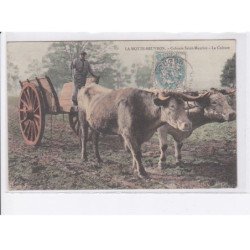 LA MOTTE-BEUVRON: colonie saint-maurice, la culture, attelage - très bon état