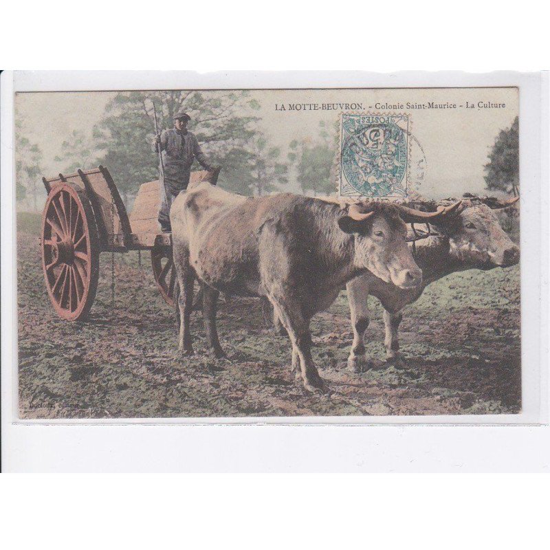 LA MOTTE-BEUVRON: colonie saint-maurice, la culture, attelage - très bon état