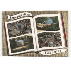 FOURMIES: les étangs château la marlière, le théâtre vue aérienne 10X15 - très bon état