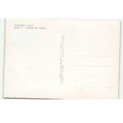 FOURMIES: l'étang des moines vue aérienne 10X15 - très bon état