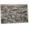 DOUAI: vue aérienne 10X15 - très bon état