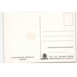 SPORTS: stade, le rucher de monsalut gazinet - très bon état