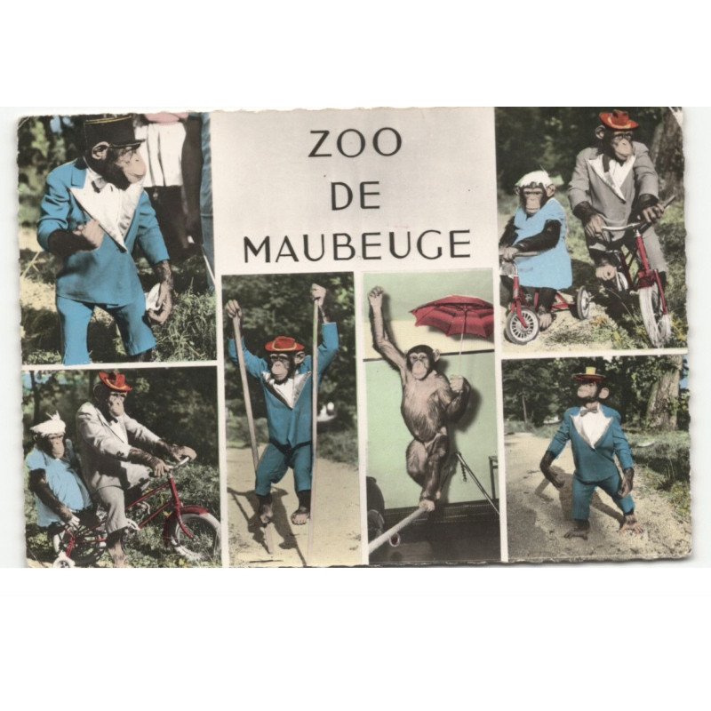 MAUBEUGE: zoo, singes Moriss et son frère vue aérienne 10X15 - très bon état