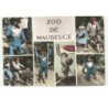 MAUBEUGE: zoo, singes Moriss et son frère vue aérienne 10X15 - très bon état