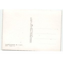 CALONNE-RICOUART: fosse n°6 vue aérienne 10X15 - très bon état