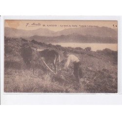 AJACCIO: le fond du golfe, type de laboureur - état