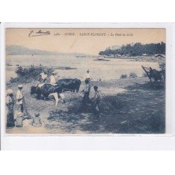 SAINT-FLORENT: le fond du golfe, agriculture - très bon état