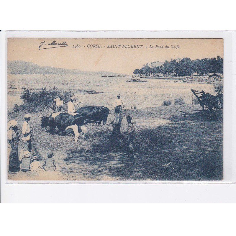 SAINT-FLORENT: le fond du golfe, agriculture - très bon état