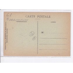 SAINT-FLORENT: le fond du golfe, agriculture - très bon état