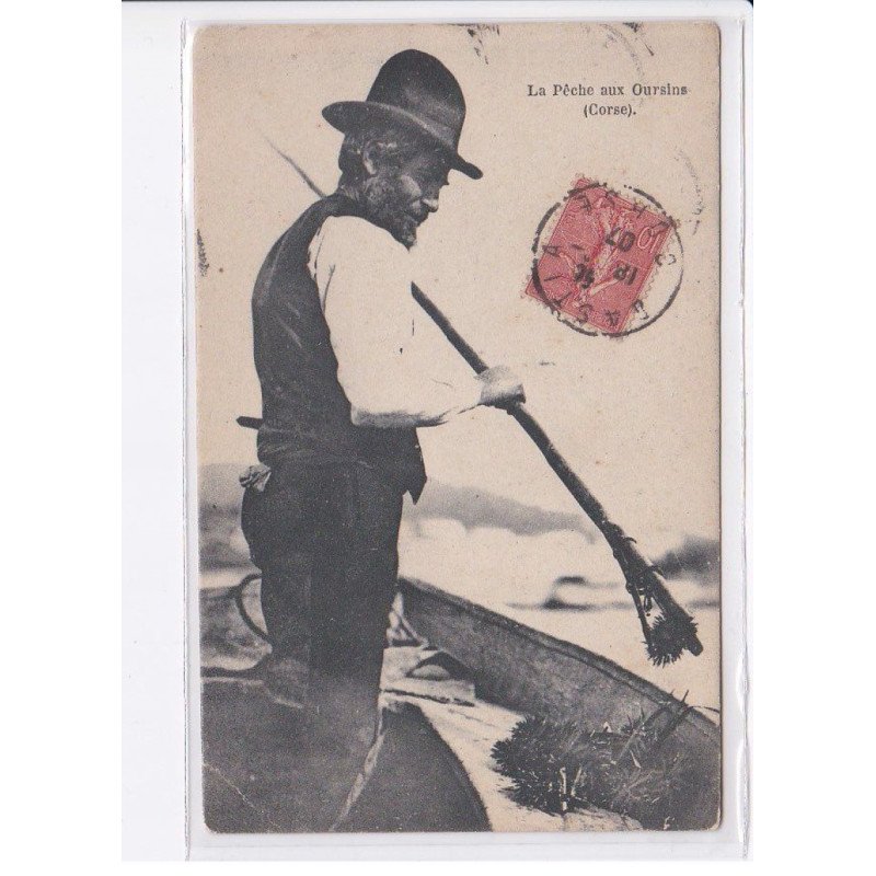 CORSE: la pêche aux oursins - état