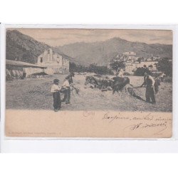 CORTE: agriculture - très bon état