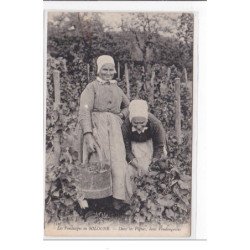 SOLOGNE : les vendanges - tres bon etat