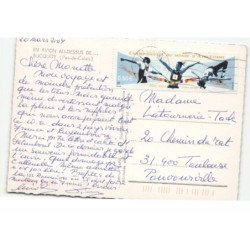 BUCQUOY: 4 vues vue aérienne 10X15 - très bon état