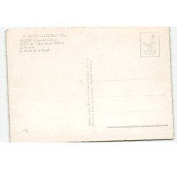 HESDIN: hôtel de ville et le beffroi, la piscine, la gare et la forêt vue aérienne 10X15 - très bon état