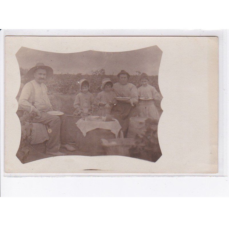 vignes, vendanges, vins - très bon état