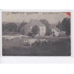 MAZIERE aux BONS-HOMMES: près auzanges, labour agriculture - état