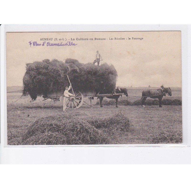 AUNEAU: la culture en beauce, les récoltes, le fourrage - très bon état