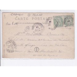 CHATON : ferme, cochon, poule - état