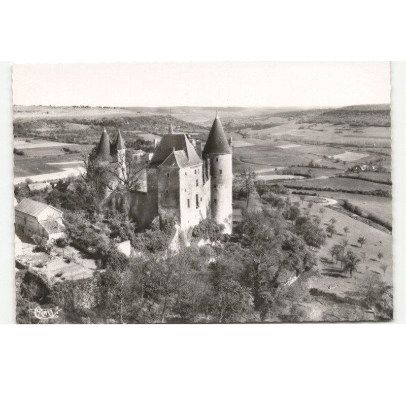 CHATEAUNEUF: chateau monument historique manoir de philippe pot. XVe siecle vue aérienne 10X15 - très bon état