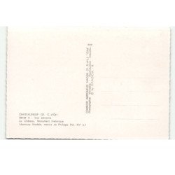 CHATEAUNEUF: chateau monument historique manoir de philippe pot. XVe siecle vue aérienne 10X15 - très bon état