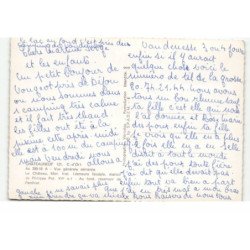 CHATEAUNEUF: chateau manoir philippe pot XVe siècle vue aérienne 10X15 - très bon état