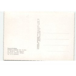 BLIGNY-sur-OUCHE: chartreuse fmailiale saint-marc, paquier-painblanc vue aérienne 10X15 - très bon état