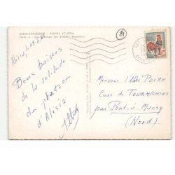 ALISE-SAINTE-REINE: alésia, fouilles romainesvue aérienne 10X15 - très bon état