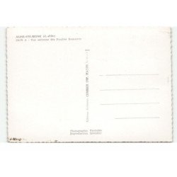 ALISE-SAINTE-REINE: alésia, fouilles romaines vue aérienne 10X15 - très bon état