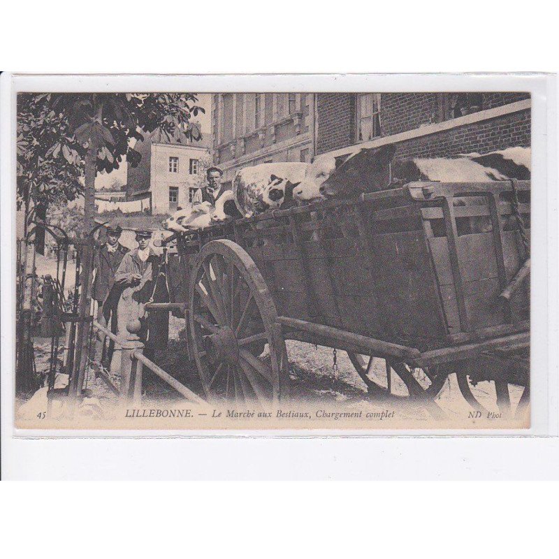 LILLEBONNE: le marché aux bestiaux, chargement complet - très bon état