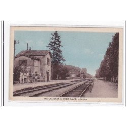 CHATENAY-sur-SEINE : la gare - tres bon etat