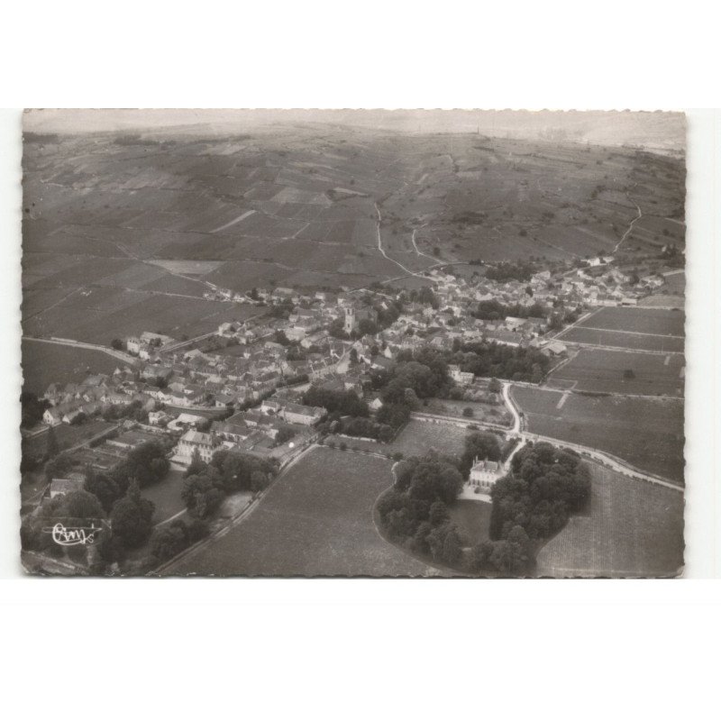 POMMARD: vignoble, vue générale vue aérienne 10X15 - très bon état