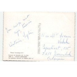 THOISY-la-BERCHERE: vue générale du château vue aérienne 10X15 - très bon état