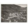 VENACO: vue générale vue aérienne 10X15 - très bon état