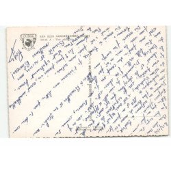 LES ILES SANGUINAIRES: vue aérienne 10X15 - très bon état