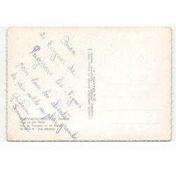 OUEYSSAC-les-VIGNES: pays de vin paillé, site de tourisme et de repos vue aérienne 10X15 - très bon état