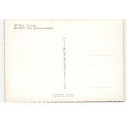 MEYSSAC: vue générale vue aérienne 10X15 - très bon état