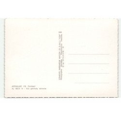 ASTAILLAC: vue générale vue aérienne 10X15 - très bon état