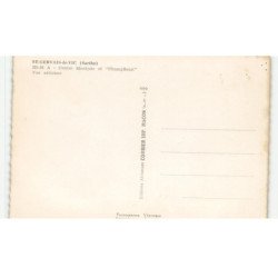 SAINT-GERVAIS-de-VIC: centre montjoie et "champfleuri" vue aérienne 10X15 - très bon état