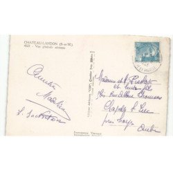 CHATEAU-LANDON: vue générale vue aérienne 10X15 - très bon état