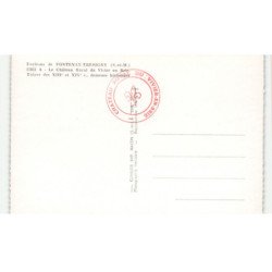 environs FONTENAY-TRESIGNY: château royal du vivier en brie ruines XIIIe et XIVe vue aérienne 10X15 - très bon état