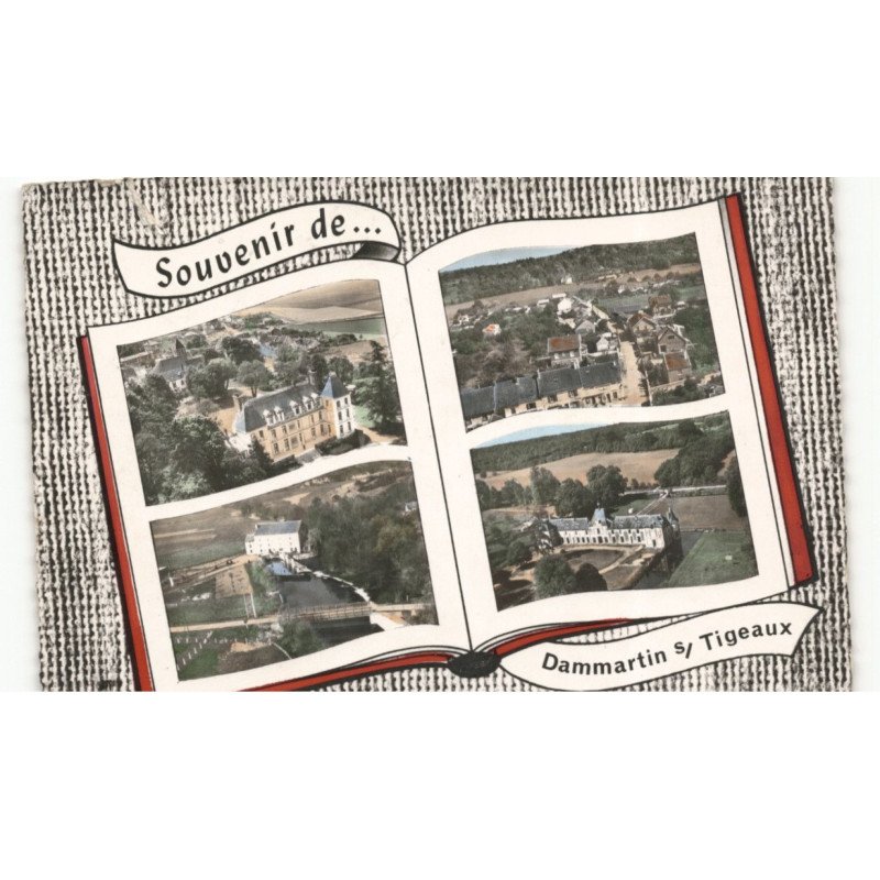 DAMMARTIN SUR TIGEAUX: château, plcae de l'orne, bords du grand morin, saint-avoye vue aérienne 10X15 - très bon état