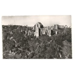 CHEVREUSE: ruines du château de la madeleine vue aérienne 10X15 - très bon état